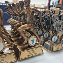 Customised Trophies with engraved plaque and branded printed domed insert, sports Trophies, School Trophies, Precision Engraving PELC